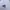 Adidas Sportswear Jersey Pria white photo 4
