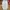 Uniqlo Vintage Streetwear Pria Cream