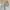 Uniqlo Casual Casual pants Pria tan photo 2