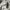 Acne Studios Vintage Sportswear Sweatshirt Pria gray photo 2