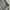 Oakley Vintage Streetwear Dungaree Pria black gray photo 4