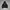 Bitch Skateboard Skater Casual Hoody Pria black photo 1