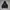 Bitch Skateboard Skater Casual Hoody Pria black photo 3