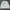 Dig Deep Streetwear Y2K Sweatshirt Pria white photo 5
