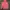 Columbia Sportswear Windbreaker Wanita pink photo 2
