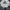 Burberry Vintage Sweatshirt Wanita white photo 1