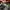 MLB Streetwear Luxury Hat Pria black photo 5