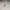 Y2K Hoody Pria gray photo 6