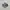 Asics Sportswear Casual Sneakers Pria green gray photo 1