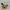 Fairy Casual Toy Kids white blue photo 3