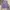Streetwear Vest Pria purple photo 5