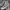 Converse Streetwear Sneakers Pria white red photo 5
