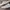Puma Casual Sneakers Pria white cream photo 2