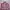 GENTLEWOMAN Coquette Casual Handbag Wanita pink photo 1