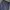 Gramicci Streetwear Casual Pants Pria Navy