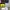 Charles and Keith Coquette Casual Wallet Wanita yellow photo 2
