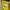 Charles and Keith Coquette Casual Wallet Wanita yellow photo 6