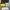 Charles and Keith Coquette Casual Wallet Wanita yellow photo 3