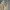 Gramicci Streetwear Casual pants Pria khaki photo 2