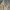Gramicci Streetwear Casual Pants Pria Khaki