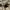 Gramicci Streetwear Casual pants Pria khaki photo 4