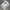 Nike Streetwear Sneakers Pria white photo 2