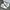 Nike Streetwear Sneakers Pria white photo 3