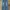 Lee Vintage Casual Jeans Pria blue photo 2