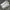 Converse Skater Sneakers Pria white yellow photo 1