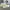 Converse Skater Sneakers Pria white yellow photo 2