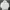Sportswear Windbreaker Pria white photo 1