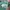 Nike Sportswear Pria green blue photo 5
