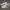 Nike Streetwear Sneakers Pria white photo 4