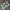 Converse Streetwear Sneakers Pria green photo 3