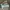 Converse Streetwear Sneakers Pria green photo 6