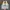 Converse Streetwear Sneakers Pria yellow photo 6