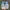 Converse Streetwear Sneakers Pria blue photo 5