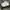 Converse Streetwear Sneakers Pria white photo 1