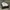 Converse Streetwear Sneakers Pria white photo 3