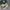 Converse Streetwear Sneakers Pria tan photo 2