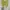 Shein Casual Shirt Wanita green photo 1