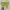 Shein Casual Shirt Wanita green photo 2