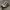 Converse Streetwear Sneakers Pria brown photo 2