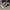 Converse Streetwear Sneakers Pria brown photo 5