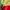 Sportswear Jumper Pria multicolor photo 8