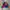 Sportswear Jumper Pria multicolor photo 1