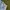 JNCO Streetwear Y2K Short Pria blue photo 6