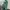 Streetwear Reworked Fleece Pria white green photo 4