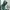 Streetwear Reworked Fleece Pria white green photo 8