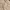 Vintage Casual Formal shirt Pria tan photo 5